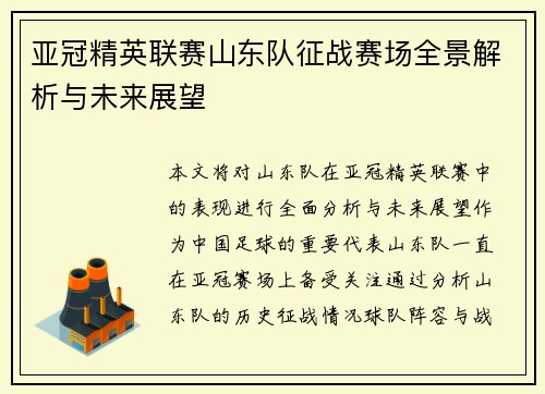亚冠精英联赛山东队征战赛场全景解析与未来展望 亚冠精英联赛山东队征战赛场全景解析与未来展望
